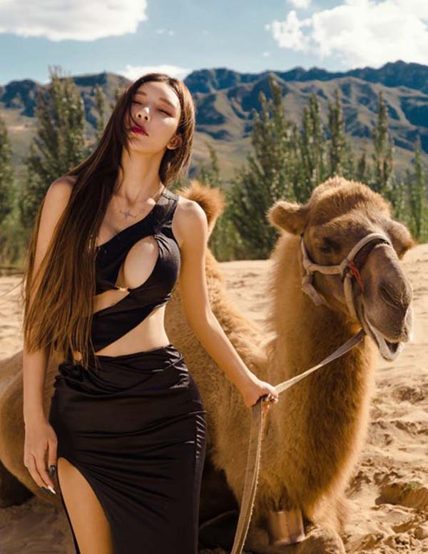 迪拜围经纪人微信